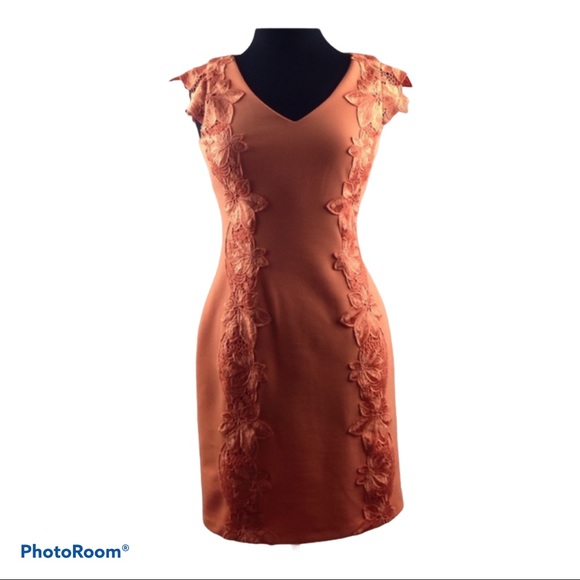 Badgley Mischka Dresses & Skirts - Badgley Mischka Womens Orange Sheath Dress